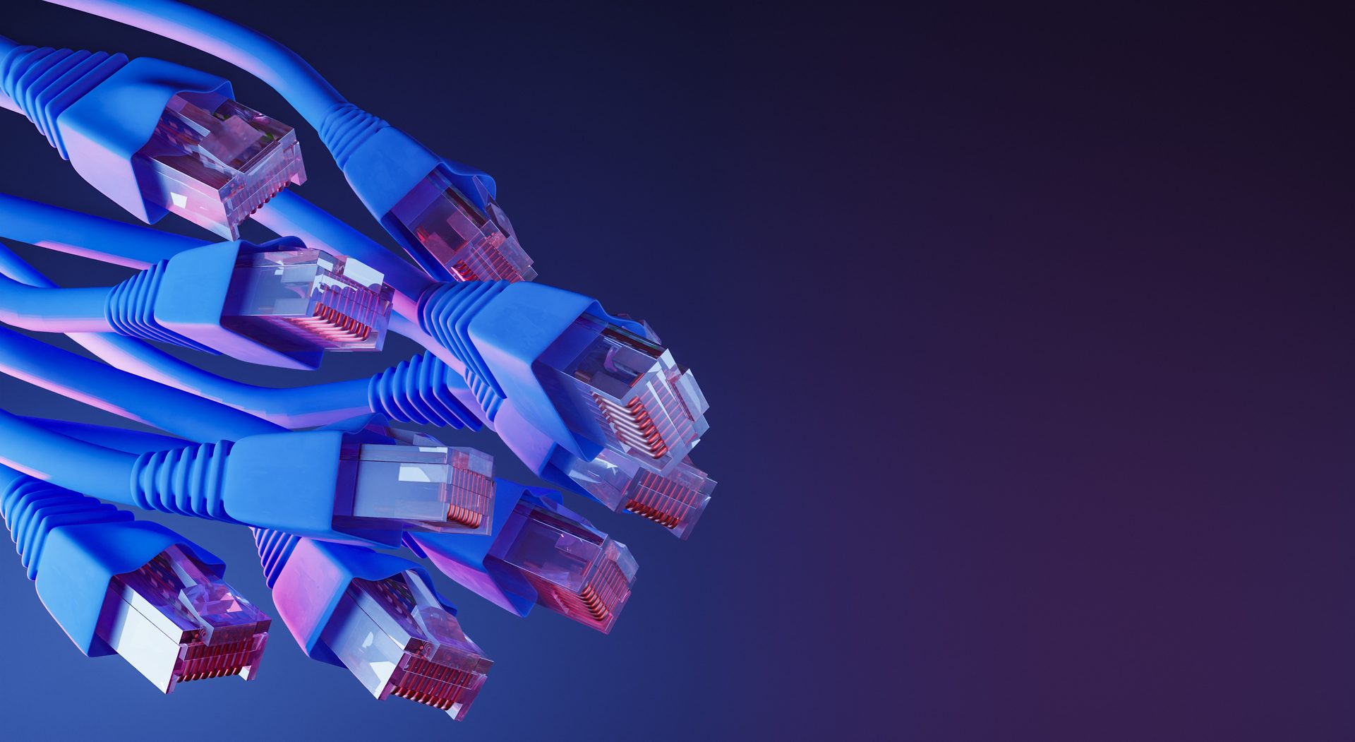 A fan of blue network patch cables with clear RJ45 plugs on a blue and purple background